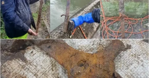 1,100-Year-Old Viking Sword Discovered in Riverbed: A Stunning Archaeological Treasure Unveiled!