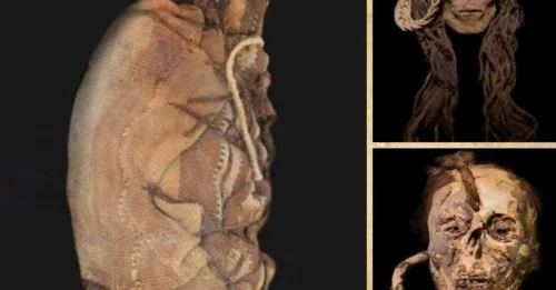 Trophy Head Display Reveals Child Victim in Peru Had Consumed Psychedelic San Pedro