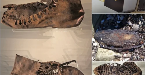 The rare 15cm Bronze Age leather shoe is said to be the world’s oldest shoe, dropped by an ancient baby 3,000 years ago