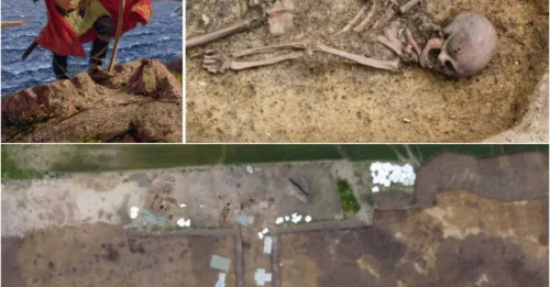 Uncovering Denmark’s Viking Secrets: 50 Remarkably Intact Skeletons Discovered