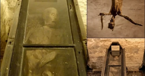 Discovering Secrets: A Journey into the Ancient Mysteries of the Centuries-Old Vault in Friesland, Netherlands, Home to the Enigmatic Mummy of Wüuwert