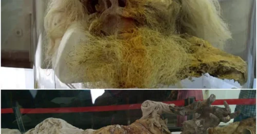 Revealing the Chilling Secrets of Salt Mummies Frozen in Time
