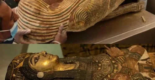 Shocking Discovery: Newly Unearthed Egyptian Tomb Full of Ancient Mysteries – Terrifying Secrets Hidden Within Eerie Sarcophagi!