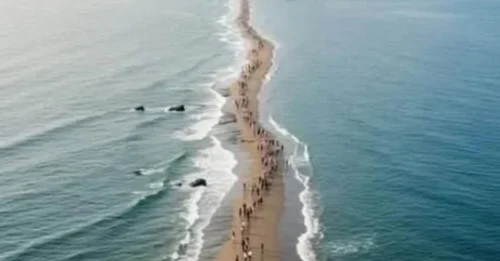 Only 1 Hour, Twice Annually: Why Does the Ocean Open Up in South Korea, Allowing Thousands to Walk Its Floor? The Answer Will Astound You!