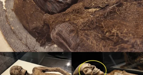 Breaking News! Amazing Discovery: Alien Mummies Found in kyiv, Revealing 3,000-Year-Old Ancient Tapestry
