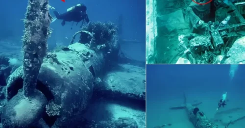 Skeleton of the World’s Most Optimistic Pilot Discovered Laughing Manically After 400 Years on a Doomed Flight
