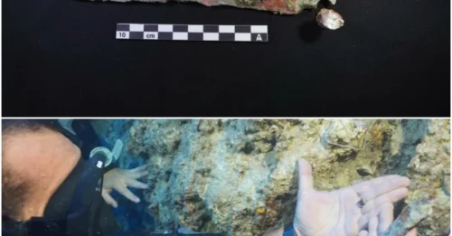Ancient Treasure Unearthed: 3,600-Year-Old Minoan Dagger Discovered by Underwater Archaeologists in Türkiye Shipwreck