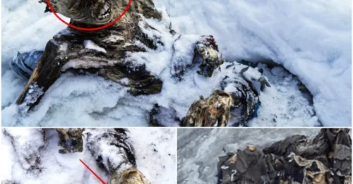Terrifying Discoveries Emerge from the Meltdown, Revealing Icy Truths About Our Planet
