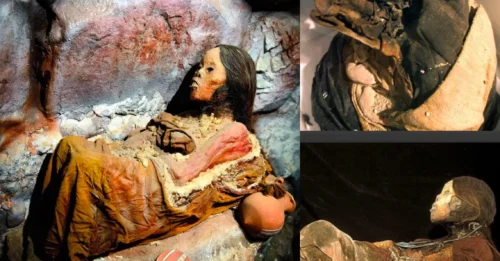 Journey through the Incas: Revealing humanity’s greatest mummy – a legacy from work to eternity