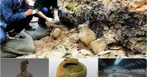 New treasure found in China: world’s oldest golden camel statue and 220 terracotta warriors discovered in first Emperor’s graveyard