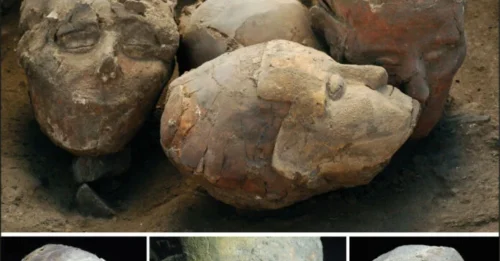 Captivating Insights into Tell Aswad’s 11,000-Year-Old Plastered Skulls