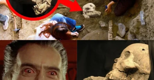 Unlocking Ancient Secrets: Exposing vampire burial rituals, where they stuffed their mouths and stabbed their chests to “revive,” shocked many people.