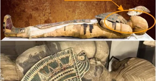 Shocking Discovery: Ptolemaic Mummy Reveals an Unknown Identity