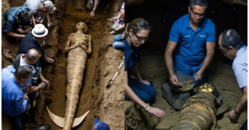 Unexpected Encounter: The Mermaid Mummy That Sent Terrified Scientists Away