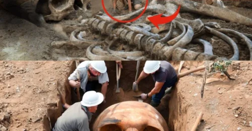 Breaking News: Archaeologists Astonished by the Discovery of an Ancient Skull in Rome