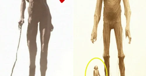 Unraveling the Enigma of America’s Giants and Their Mysterious Disappearances