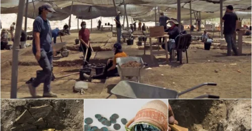 An ‘extremely rare’ trove of gold coins about 1,100 years old was hidden in a clay jar dating from the late 9th century, at the height of the Abbasid Caliphate