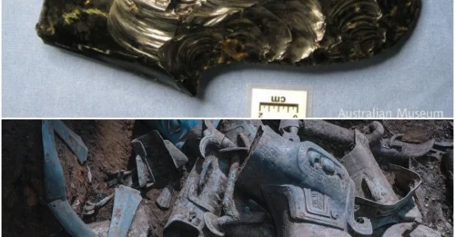 6,000-Year-Old Carved Phallus Artifacts Discovered in Papua New Guinea