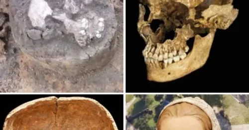 The Mysterious Discovery of Jane: A Colonial Survival Story