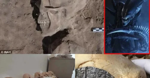 Mexico’s Alien Skeletons: UFO Evidence in Bones?