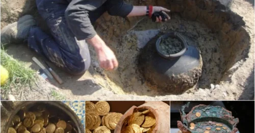 52,000 ancient Roman coins dating from the 3rd century AD were discovered by a lucky chef in a field buried underground for 1800 years