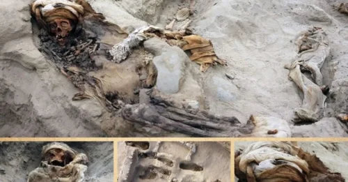 Archaeologists in Peru unearth 227 bodies in biggest-ever discovery of child sacrifice