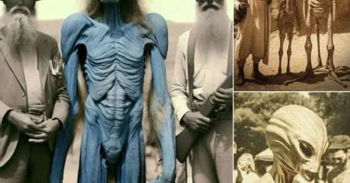 Roswell Revelations: Investigating Humanity’s Historic Encounter with Extraterrestrial Life in the 1890s