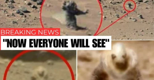 Alien Structures on Mars: Fact or Fiction?