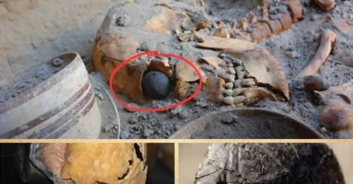 The 4,800-Year-Old Eye: Unveiling the World’s Oldest Artificial Eye