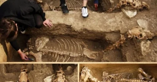 Uncovering the Mysteries of the Thracian Nobility: Rare Chariot and Horse 2,500-Year-Old Remains Found in Bulgaria