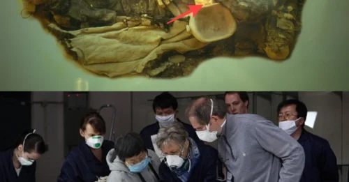 Threads of Time: Revealing the World's Oldest Trousers in China's Tarim Basin