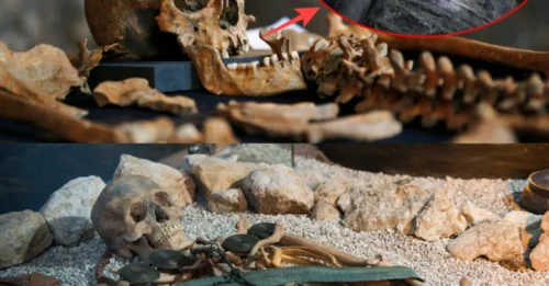 Journey Through Time: Unearthing the Hallstatt Civilization, a 7,000-Year-Old Legacy