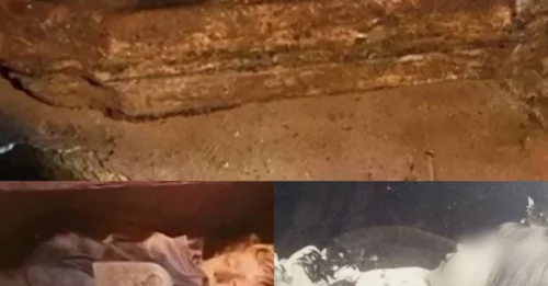 The Mummy’s Secret Unveiled: Crystal Coffin Discovered in a San Francisco Garage