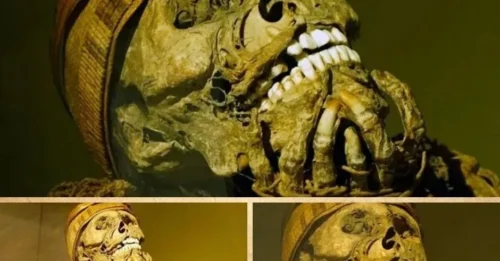 Puno Museum Reveals Arcane Warrior Mummies: Discover the Secrets That Have Been Hidden!