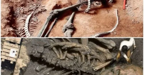 National Geographic Still Hasn’t Verified Shocking Ancient Giants Despite Multiple Reports and Photos.