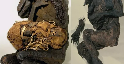 Meet the “woman with crossed legs,” a 600-year-old Peruvian mummy. Uniquely, she clutched a child’s milk teeth, revealed by the German Mummy Project.
