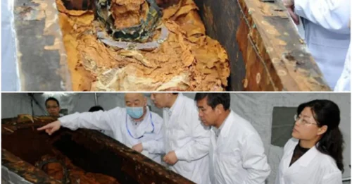 Ancient Coffin Rescued from Tomb Raiders in Inner Mongolia Unveils Remains of Aristocratic Woman
