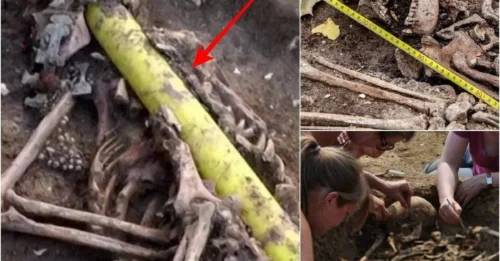 Shocking Discovery: Ancient Skeleton Sealed by Enigmatic Object Found at Anglo-Saxon Burial Site, Revealing Hidden Secrets of the Past