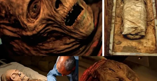 Revealing a Chilling Secret: The Horrible Discovery by Researchers That Should Never Have Come to Light