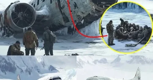 Antarctica’s 1,000-Year-Old Plane: A Shocking Find