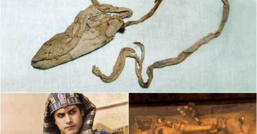 3,000-year-old condom found in tomb of famous ancient Egyptian king