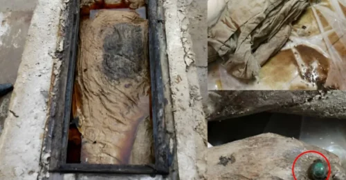 Explosive Discovery: Fairy Mummy Unearthed, Shaking the Foundations of Conventional Archaeology!
