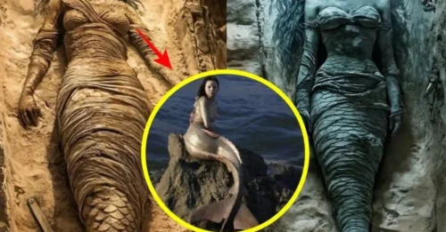 Shocking find in Egypt: a ‘mermaid’ mummy has been unearthed, sparking debate between mythology and science.