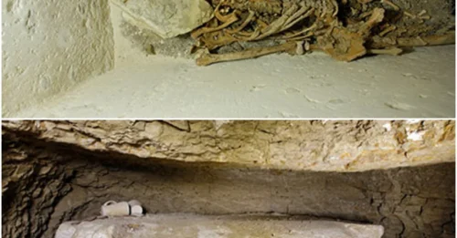 Remarkable Discovery: 4,400-Year-Old Skeleton of Senior Egyptian Official Unearthed in Abusir
