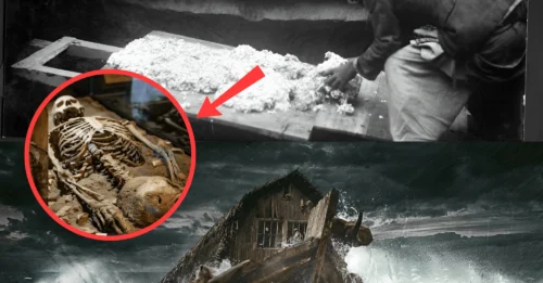 New! Revealing the mystery of ‘Noah’: The amazing survival story of an ancient skeleton! (Video)