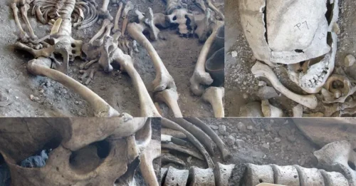 New study debunks Roman massacre myth at Maiden Castle, Britain’s iconic ‘war cemetery’