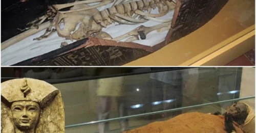 Discovery of the Long-Lost Mummy of Amenhotep II’s Chief Steward