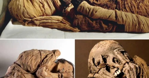 Revealing the secrets of the Chimú civilization: insights from a fetal mummy