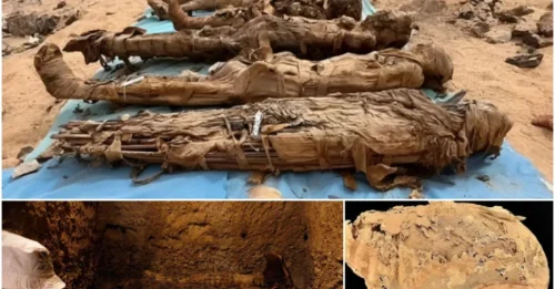 Egypt’s ‘City of the Dead’: 900 Skeletons Speak