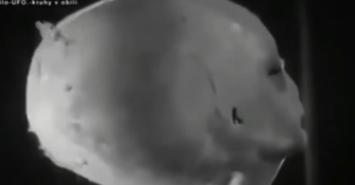 REAL ALIEN EVIDENCE. THIS ALIEN BODY WAS CAPTURED AFTER THE MILITARY SHOT DOWN ONE OF THE UFOS